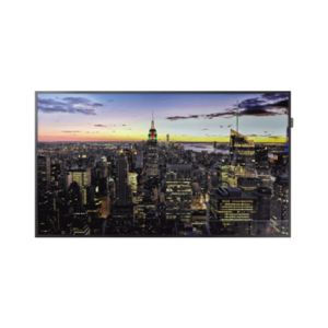 professional display 300x300